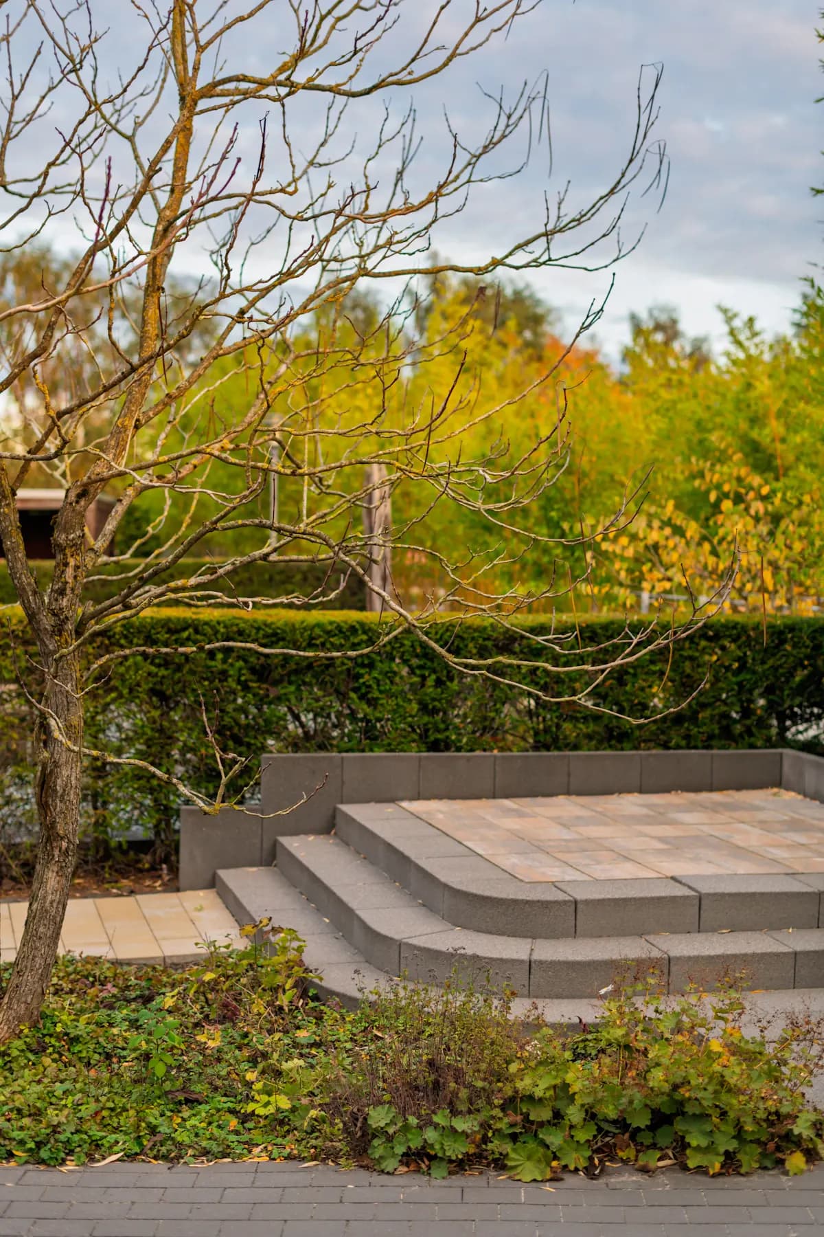 Curved patio steps beside a planted border