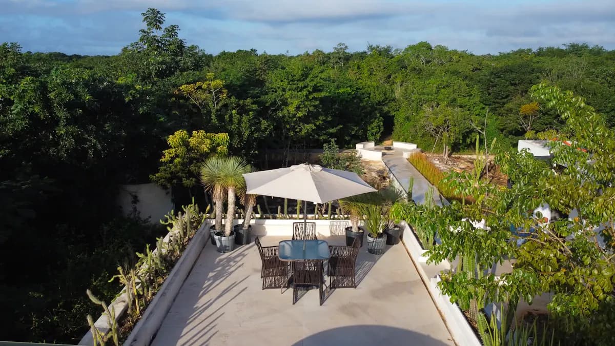 Raised outdoor terrace with dining furniture and planting