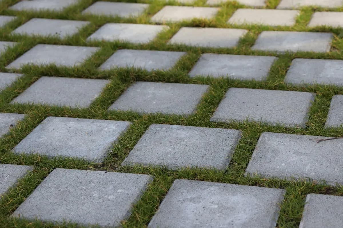 Rectangular paving slabs separated by planted joints